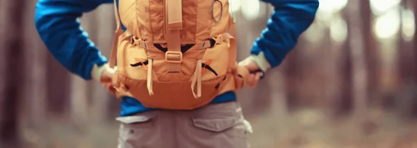 Camping Otoño Bosque Viajero Masculino Está Caminando Través Del Bosque —  Fotos de Stock