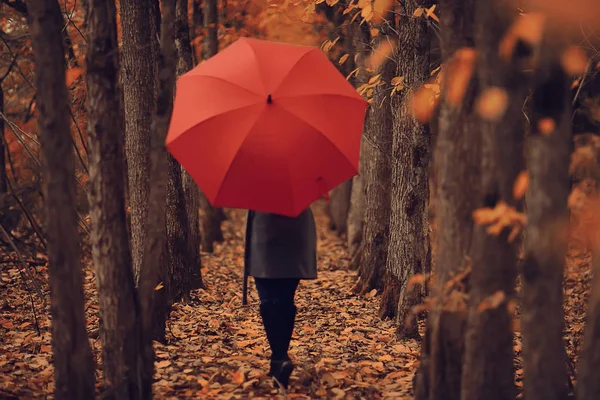 Mädchen Mit Regenschirm Posiert Herbstpark Oktoberlandschaft Einsame Frau Mit Rotem — Stockfoto