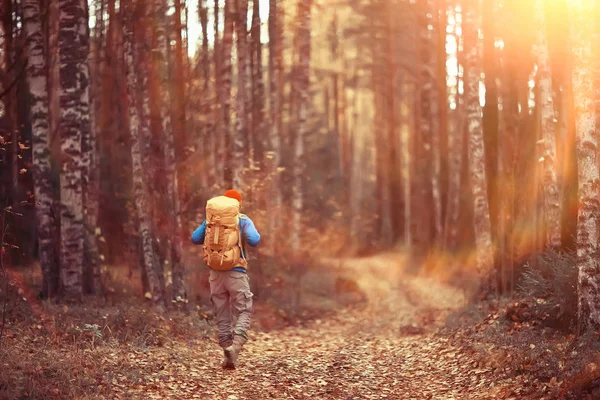 Herfst Wandeling Met Een Rugzak Zonnestralen Herfst Landschap Een Man — Stockfoto