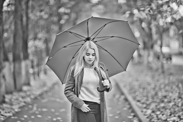 Herfst Paraplu Meisje Het Park Oktober Wandeling Regen — Stockfoto