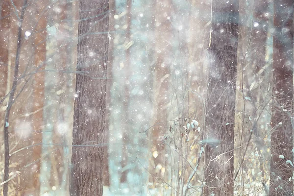 Χειμερινό Τοπίο Στο Δάσος Όμορφα Χιονισμένα Δέντρα Εποχιακή Θέα Στη — Φωτογραφία Αρχείου