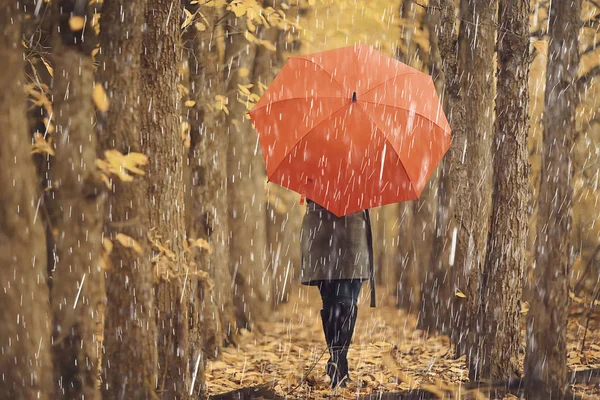 Октябрь Прогулка Дождем Молодая Женщина Красным Зонтиком Осеннем Городском Парке — стоковое фото