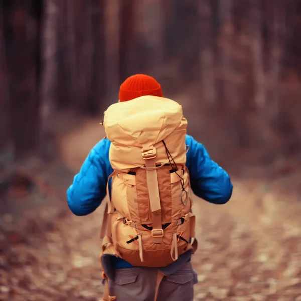 Man Met Rugzak Uitzicht Vanaf Rug Wandelen Het Bos Herfstlandschap — Stockfoto