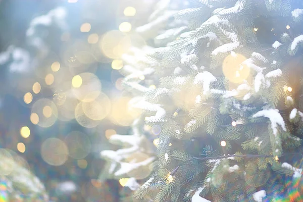 Wazig Achtergrond Kerstboom Buiten Gedecoreerde Sneeuw Achtergrond Nieuwjaar — Stockfoto