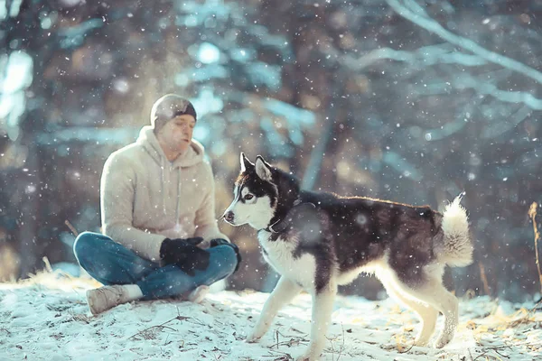 Cara Com Cão Caminha Floresta Inverno Ensolarado Paisagem Natal Amigos — Fotografia de Stock