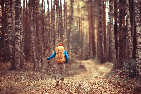 森の道の秋の森の観光客10月の森の冒険1人の男秋の風景ハイキング — ストック写真