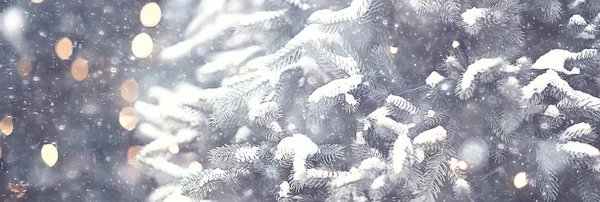 Verschwommener Hintergrund Weihnachtsbaum Draußen Dekorierter Schneehintergrund Neujahr — Stockfoto