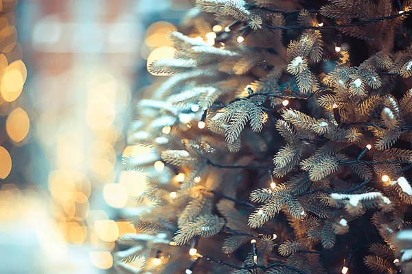 Wazig Achtergrond Kerstboom Buiten Gedecoreerde Sneeuw Achtergrond Nieuwjaar — Stockfoto