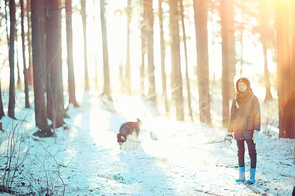 子供たちは日当たりの良い森の冬の風景の中で犬と遊んでいます — ストック写真