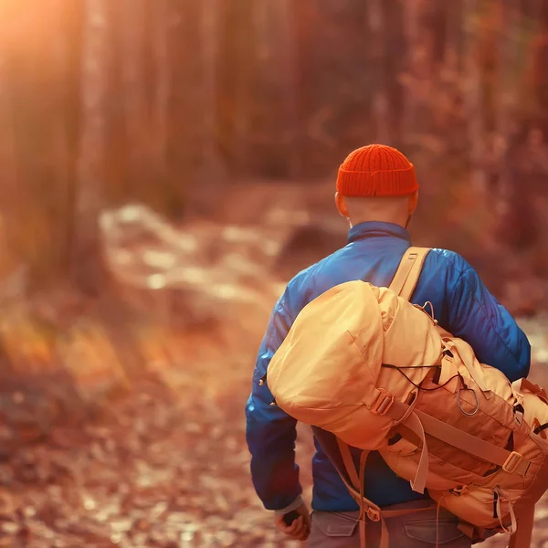 Homme Avec Sac Dos Une Vue Dos Randonnée Dans Forêt — Photo