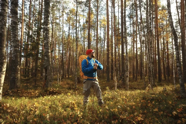 Camping Automne Dans Forêt Voyageur Masculin Promène Dans Forêt Feuilles — Photo