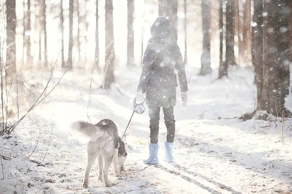 Kinder Spielen Mit Hund Der Winterlandschaft Eines Sonnigen Waldes Schneefallmädchen — Stockfoto