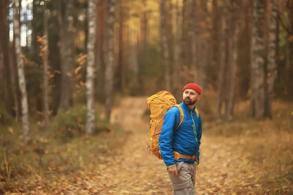 Осень Кемпинг Лесу Мужчина Путешествует Лесу Желтые Листья Пейзаж Октябре — стоковое фото