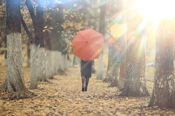 Autumn Look Sunny Day Young Girl Umbrella Walks Yellow Park — Stock Photo, Image