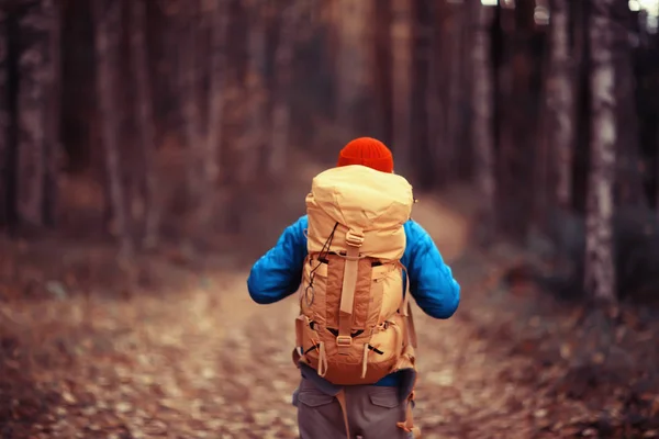 Man Met Rugzak Uitzicht Vanaf Rug Wandelen Het Bos Herfstlandschap — Stockfoto