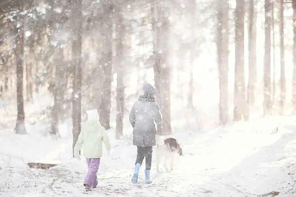 子供たちは日当たりの良い森の冬の風景の中で犬と遊んでいます — ストック写真