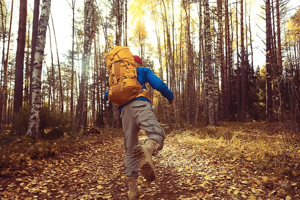 Autumn Camping Forest Male Traveler Walking Forest Yellow Leaves Landscape — Stock Photo, Image