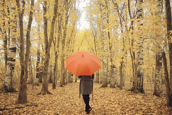 Menina Com Guarda Chuva Posando Parque Outono Paisagem Outubro Mulher — Fotografia de Stock