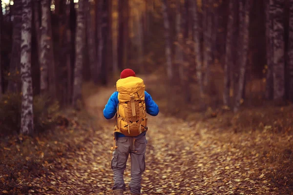 Man Met Rugzak Uitzicht Vanaf Rug Wandelen Het Bos Herfstlandschap — Stockfoto