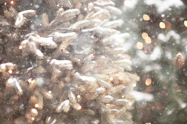Verschwommener Hintergrund Weihnachtsbaum Draußen Dekorierter Schneehintergrund Neujahr — Stockfoto