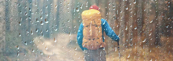 Rainy Autumn Forest Landscape Man Hike October Wet Forest Bad — Stock Photo, Image