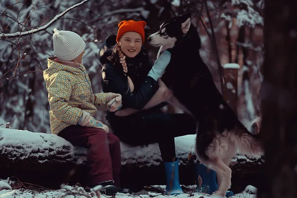 Enfants Jouent Avec Chien Dans Paysage Hivernal Une Forêt Ensoleillée — Photo