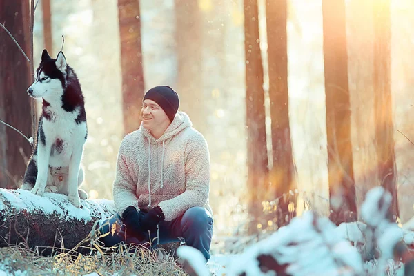 Homem Treina Cão Floresta Inverno Cara Cão Husky Uma Paisagem — Fotografia de Stock