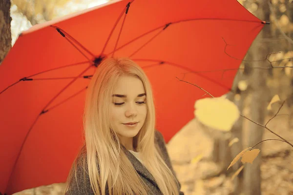 Lány Esernyő Pózol Őszi Parkban Október Táj Magányos Kezében Egy — Stock Fotó