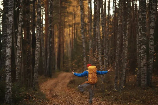 Tourist Herbstwald Auf Einer Forststraße Abenteuer Oktoberwald Ein Mann Herbstlandschaftswanderung — Stockfoto