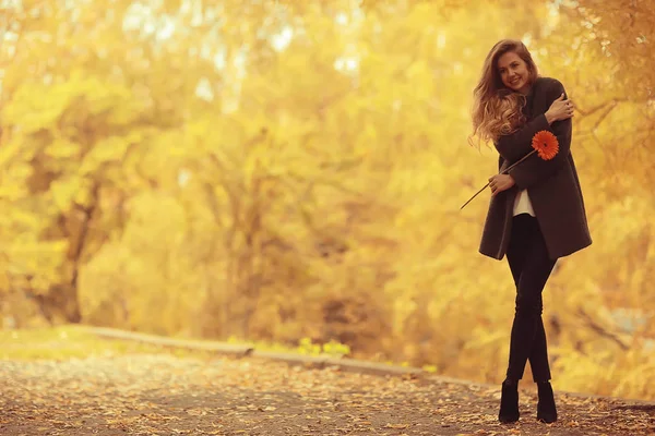 Manken Sonbahar Yürüyüşü Sarı Park Romantizmi Güzel Genç Yetişkin Modeli — Stok fotoğraf