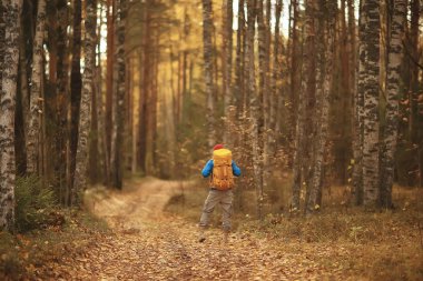 Orman yolundaki sonbahar ormanlarında turist, Ekim ormanlarında macera, sonbaharda doğa yürüyüşü.