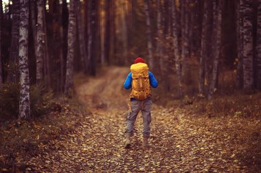 Sırt çantalı adam arkadan bir manzara, ormanda yürüyüş, sonbahar manzarası, sırt çantalı bir turistin arkası.
