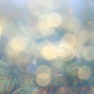 Noel mumları dekorasyon kartı, yeni yıl, masa dekorasyonu, yanan mumlar ve Noel ağacı dalları.