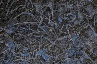 Ezilmiş buz camı arka planda çatlaklar, soyut mevsimsel arka plan, ezilmiş buz parçaları keskin kaplama