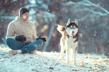 Köpekli bir adam kış ormanlarında yürüyüşe çıkıyor, güneşli bir Noel manzarası, parkta yaşayan insanlar ve köpekler.
