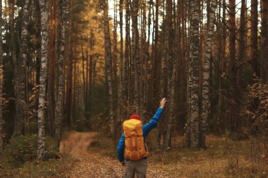 Yürüyüşe beni takip edin, bir adam sizi orman yürüyüşüne davet ediyor, doğadaki sonbahar manzarası.