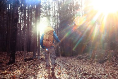 Sırt çantalı adam arkadan bir manzara, ormanda yürüyüş, sonbahar manzarası, sırt çantalı bir turistin arkası.