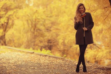 Manken sonbahar yürüyüşü sarı park romantizmi güzel genç yetişkin modeli sonbahar parkının sarı manzarasında poz veriyor.