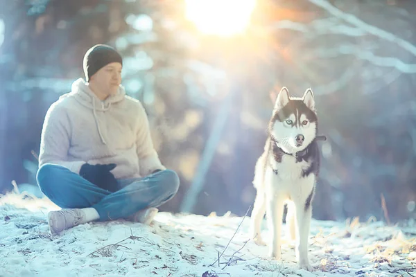 Mann Mit Hund Geht Winterwald Spazieren Sonnige Weihnachtslandschaft Freunde Der — Stockfoto