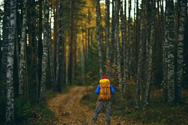 Homem Com Mochila Uma Vista Das Costas Caminhadas Floresta Paisagem — Fotografia de Stock