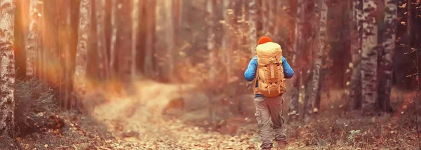 Outono Acampar Floresta Viajante Sexo Masculino Está Andando Pela Floresta — Fotografia de Stock