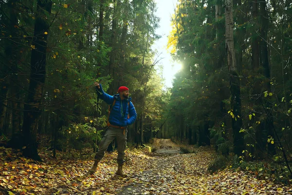 Sígueme Una Caminata Hombre Invita Una Caminata Por Bosque Paisaje — Foto de Stock