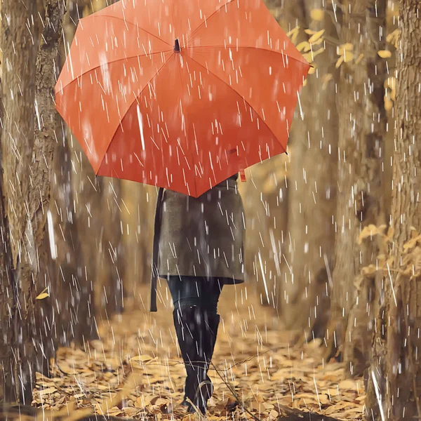 10月の雨の中を歩くと 秋の都市公園 秋の表情で赤い傘を持つ若い女性 — ストック写真