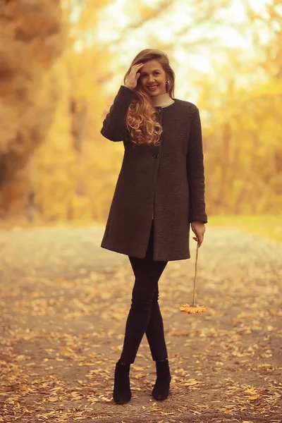 Modello Autunno Passeggiata Parco Giallo Romanticismo Bello Giovane Modello Adulto — Foto Stock