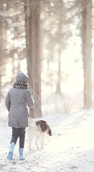 Barn Leker Med Hund Vinterlandskapet Solig Skog Snöfall Flickor Och — Stockfoto