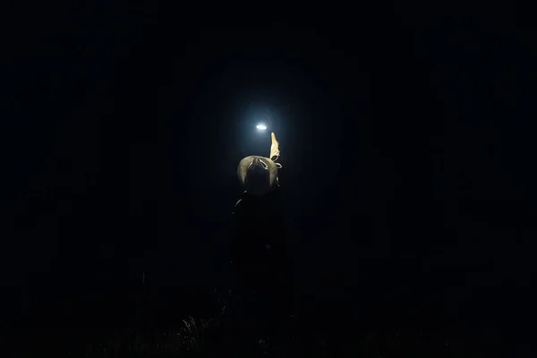 Horror Nevoeiro Homem Com Uma Lanterna Campo Paisagem Feriado Halloween — Fotografia de Stock