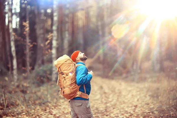 秋天的远足 背着背包 太阳光 秋天的风景 一个人在森林里闪烁着落日的光芒 — 图库照片