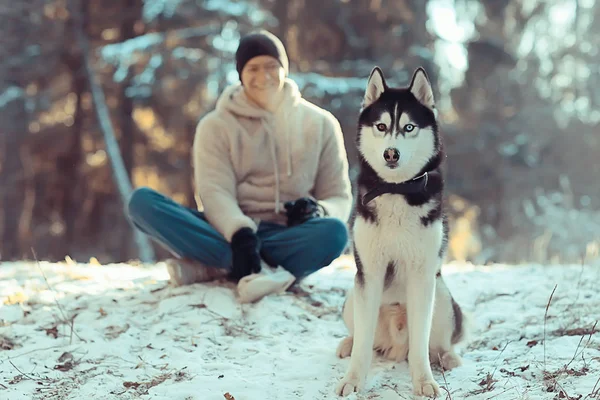 Man Met Een Hond Wandelingen Het Winterbos Zonnig Kerstlandschap Vrienden — Stockfoto