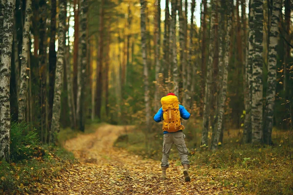 Homem Com Mochila Uma Vista Das Costas Caminhadas Floresta Paisagem — Fotografia de Stock