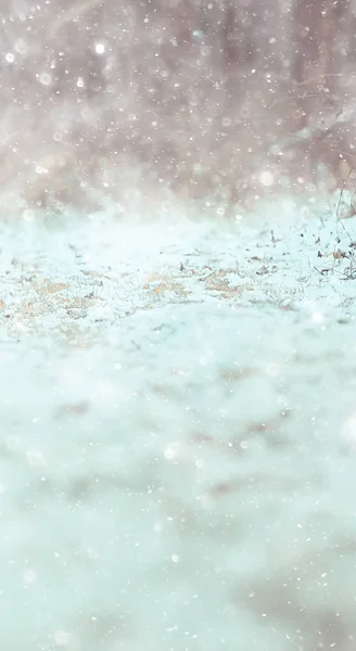 冬の風景草雪の霜雪に覆われた自然上のクリスマスホワイト写真 — ストック写真